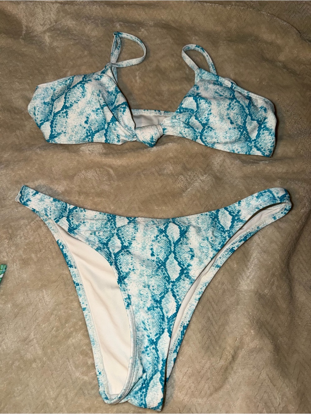 Blue Snake Print Bikini Set
